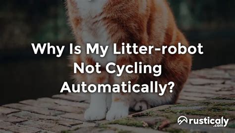 Why is my litter robot not cycling - also using dr. elsey's over here. i use the arm & hammer powdered litter deodorizer to help with the sticking issue. i sprinkle it all over the rubber before adding fresh litter. if there's already litter in there, i mix it into the current litter and also sprinkle it onto the rubber towards the end of a cycle taking place.